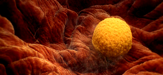 biology the series is presented...