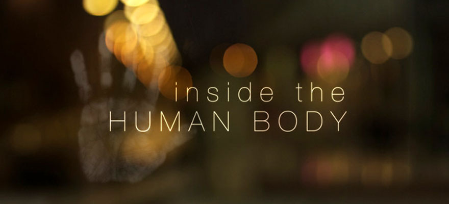 Inside The Human Body